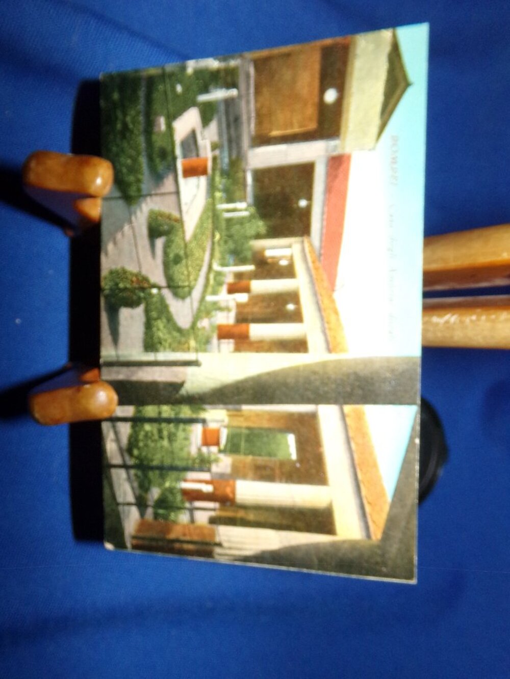 Vintage Pompeii House of Gilded Cupids Color Postcard - Unposted - Italy